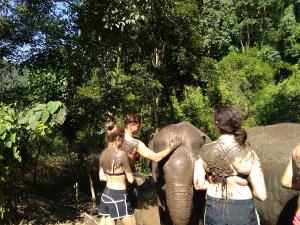 Mudplay with Elephants