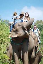 Elefantenritt, Buddy Tours, Chiang Mai, Thailand