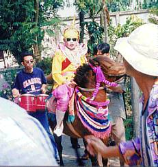 Kristall Sohn reitet ein tanzendes Pony in Chiang Mai, Thailand