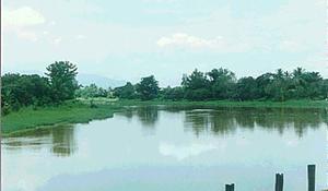 Der Mae Ping Fluss im Pa Dua Bezirk, Chiang Mai, Thailand