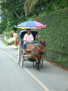 Pferdekutsche in Wiang Kum Kam, Chiang Mai, Thailand