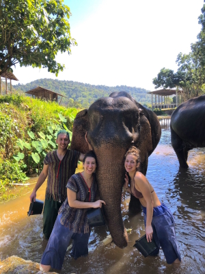 Elefanten baden in Chiang Mai, Thailand 
