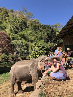 Elefanten Camp in Chiang Mai