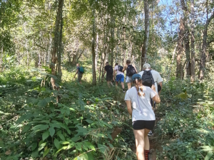 Dschungel Wanderung in Chiang Mai