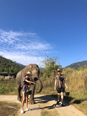 Wanderung mit Elefanten in Chiang Mai