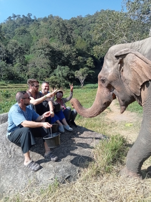 Spaziergang mit Elefanten in Chiang Mai