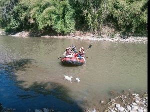 Wildwasser-Rafting in Chiang Mai