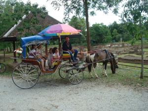 Pferdekutschenfahrt durch Wiang Kum Kam, Chiang Mai, Thailand 