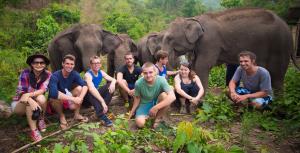 Tougruppe mit Elefanten