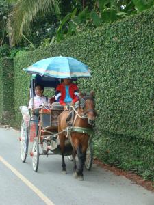 Pferdekutschenfahrt durch Wiang Kum Kam, Chiang Mai, Thailand 