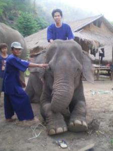 Mahout training course