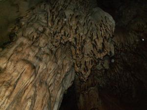 Erstaunliche Fledermaushöhle in